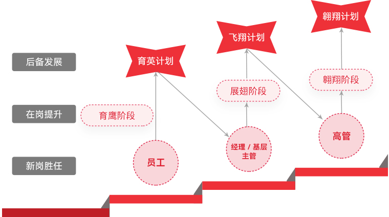 今年会官方网站 "雄鹰计划"人才梯队培养
